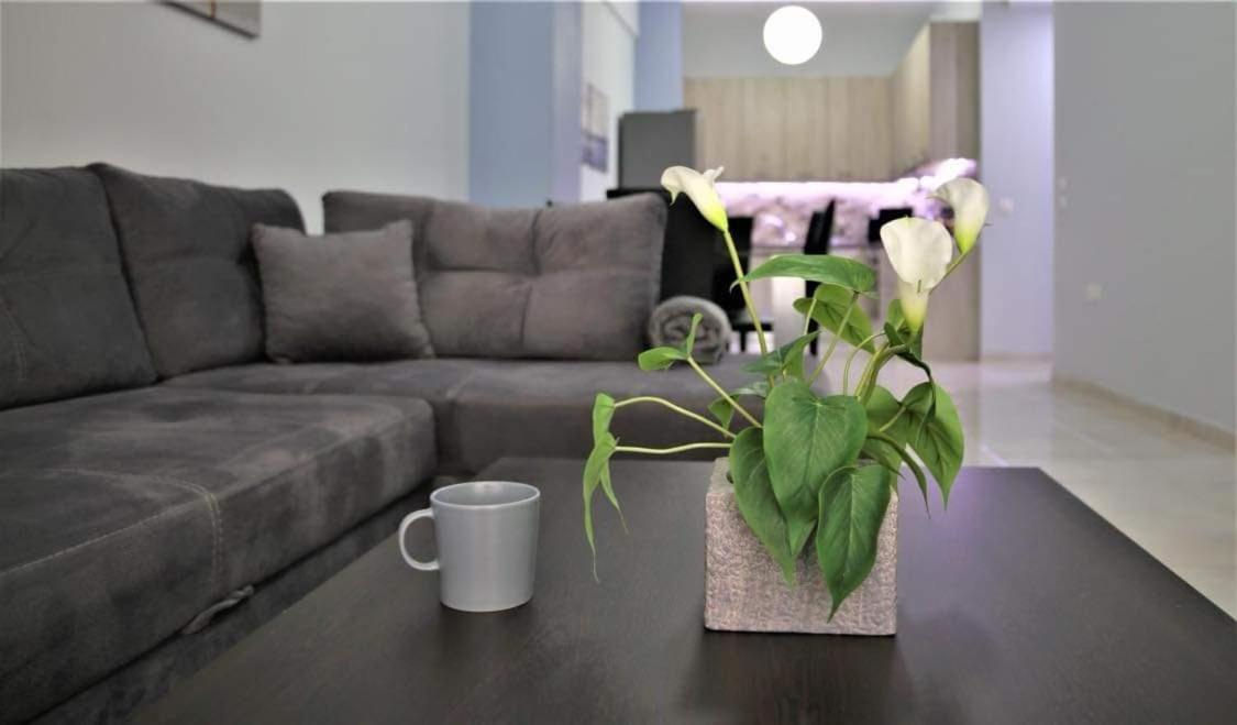 Lovely Apartment In The Center Of Athens. Zewnętrze zdjęcie